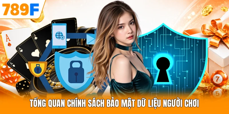Tổng quan chính sách bảo mật dữ liệu người chơi
